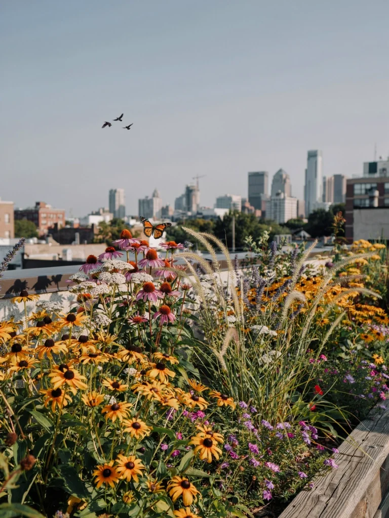 The Wildflower and Pollinator Rooftop